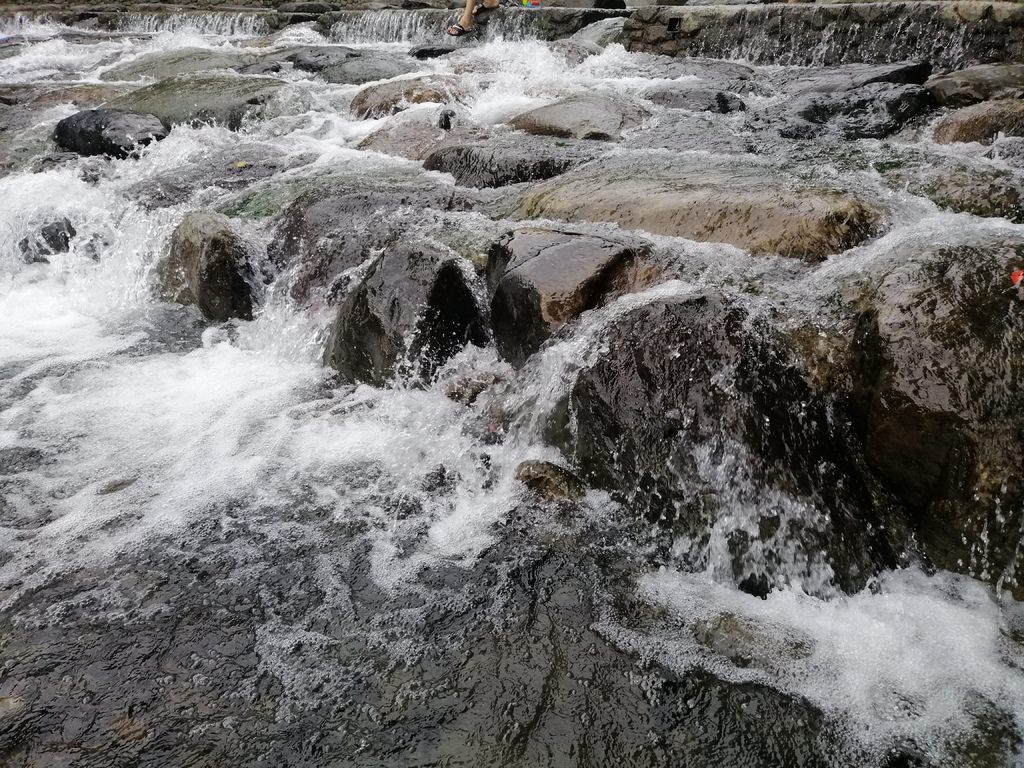 小烏-54.jpg