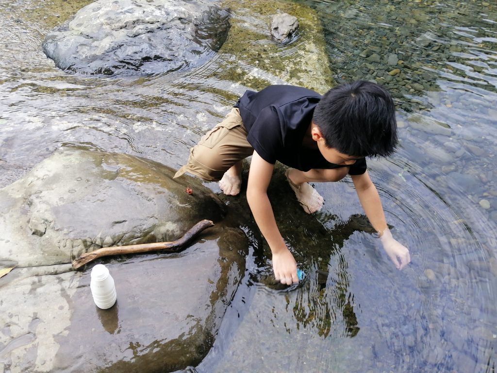 小烏-44.jpg