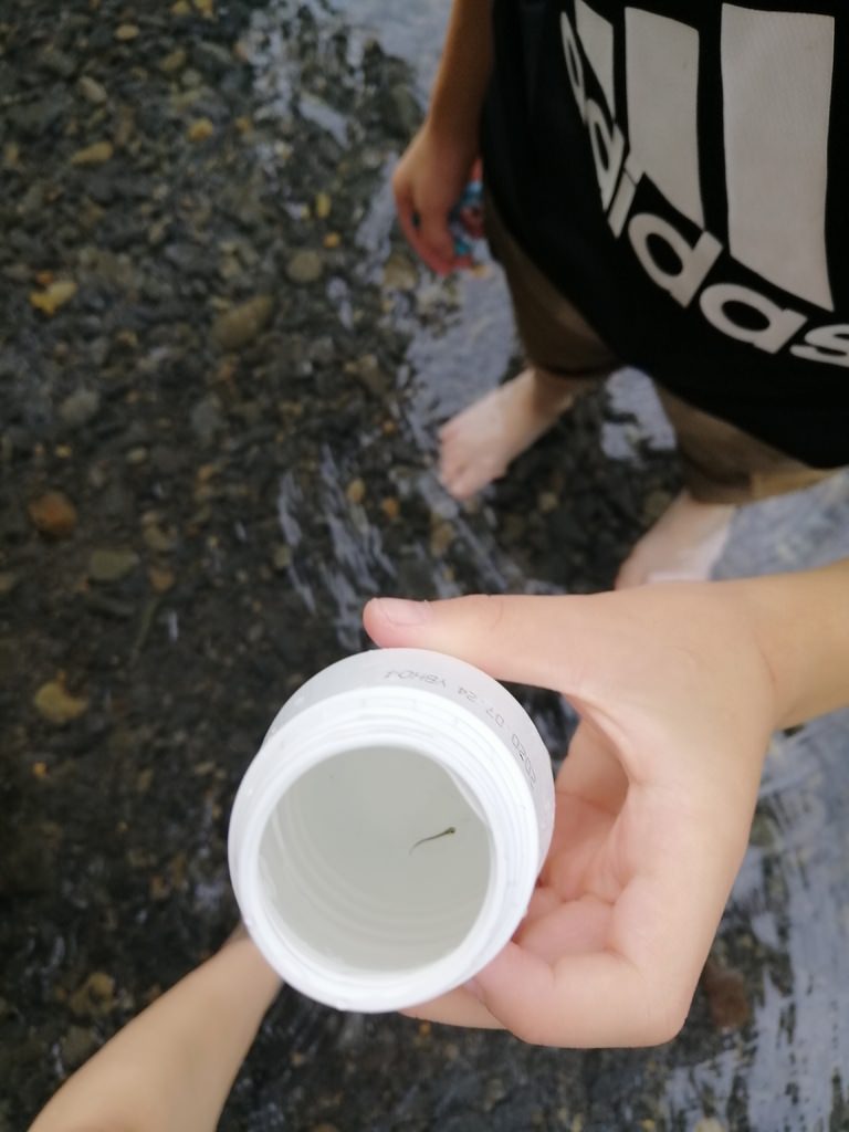 小烏-45.jpg