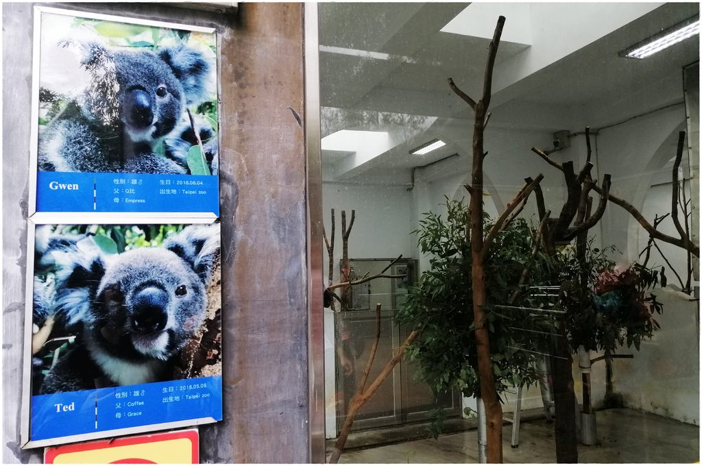 動物園-5.jpg