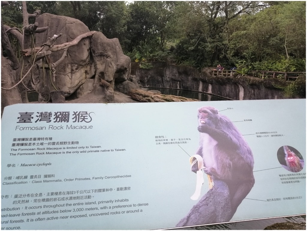 動物園-13.jpg