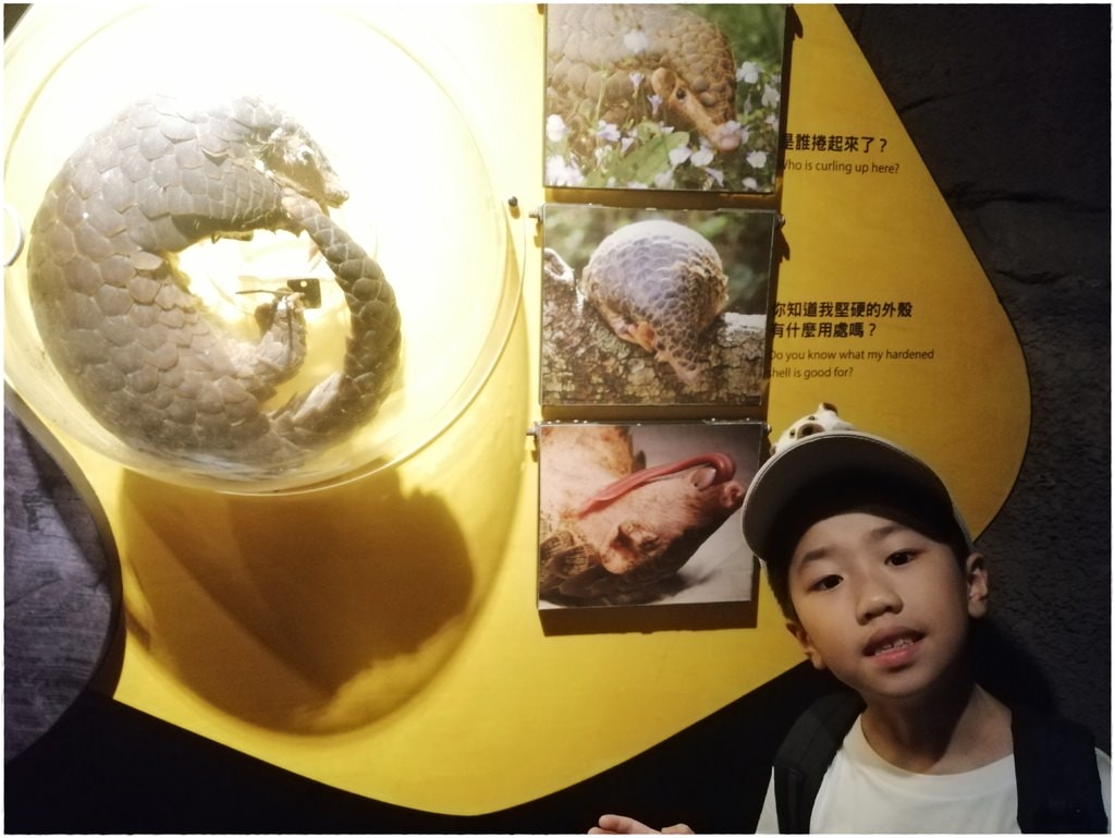 動物園-17.jpg