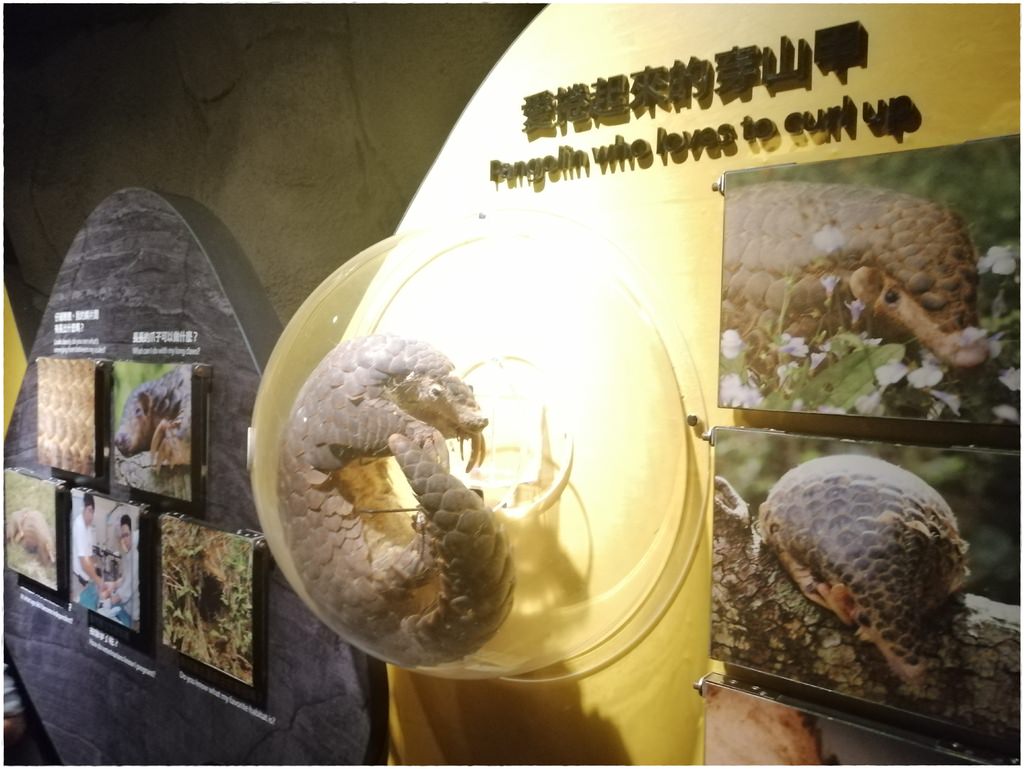動物園-18.jpg