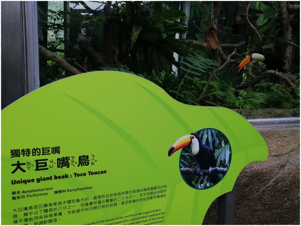 動物園-24.jpg