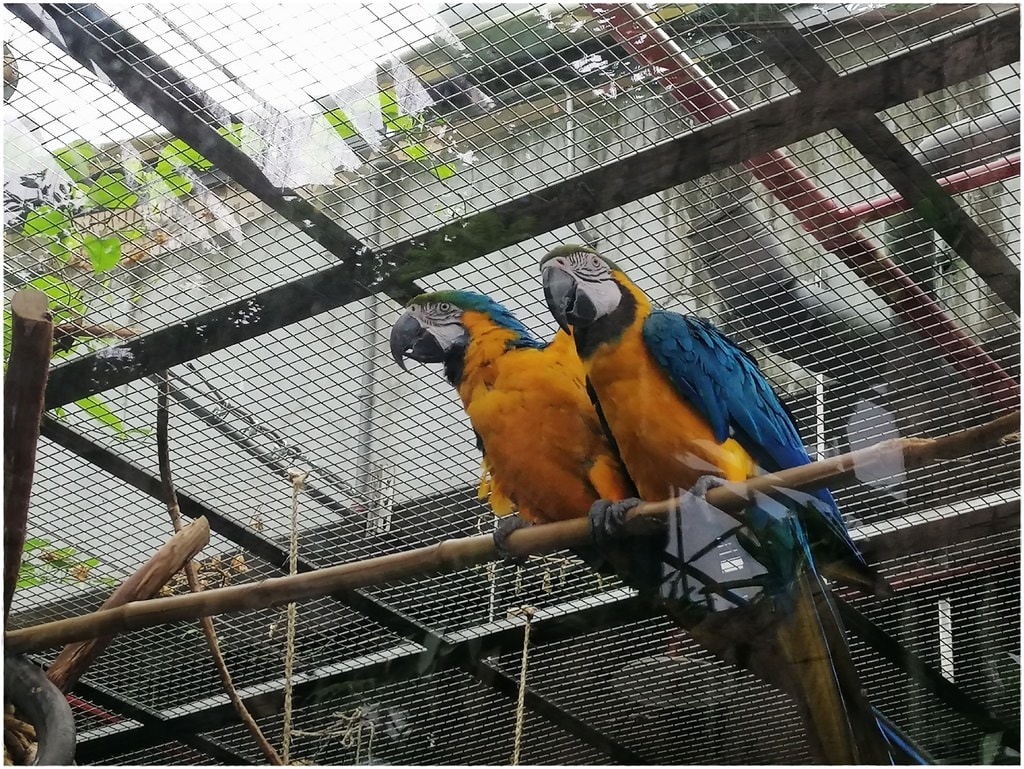 動物園-37.jpg
