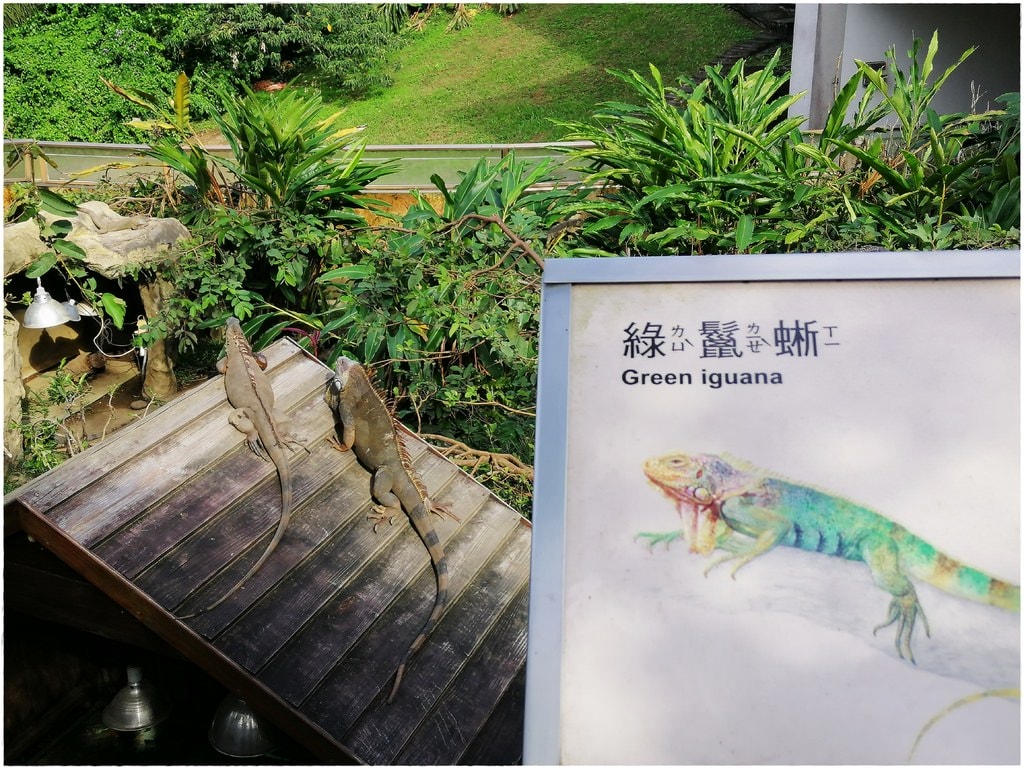 動物園-53.jpg