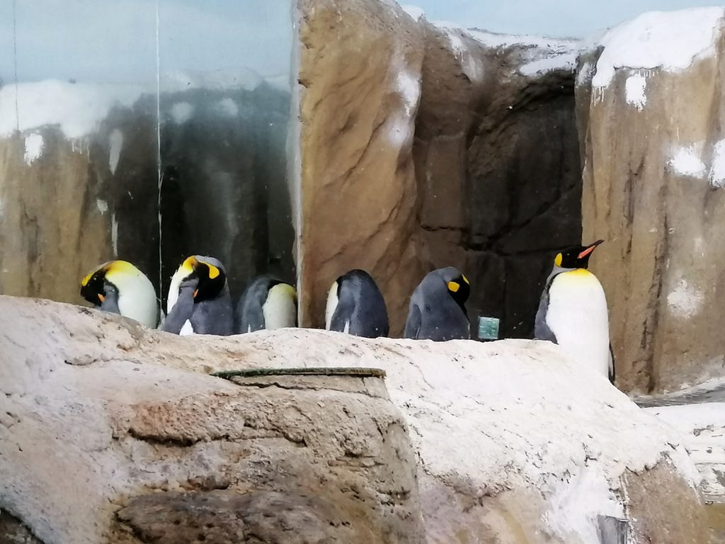 動物園-57.jpg