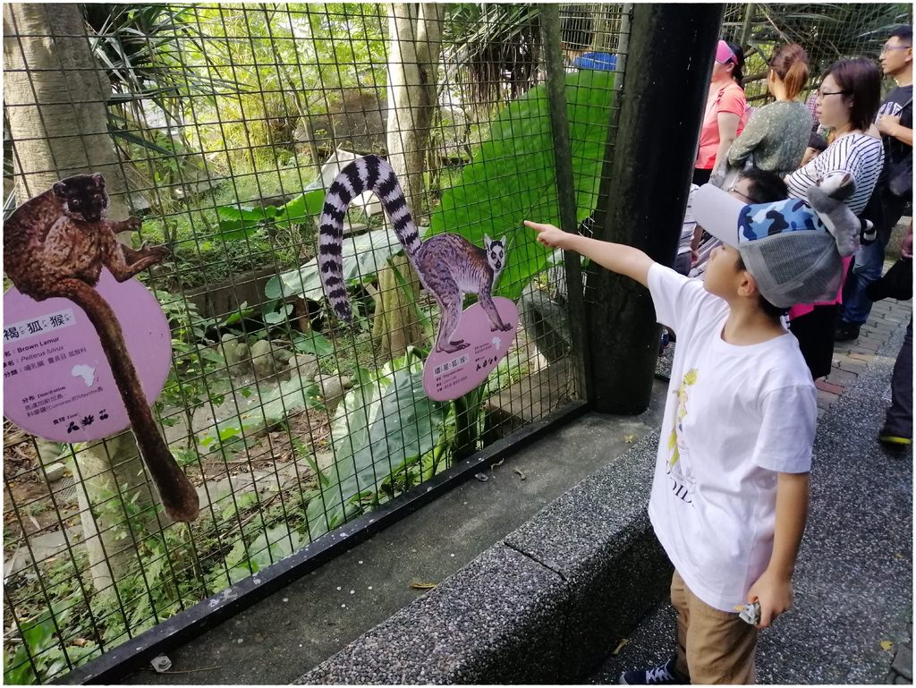 動物園-62.jpg
