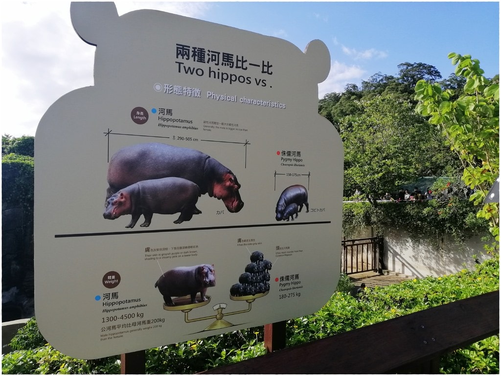 動物園-66.jpg