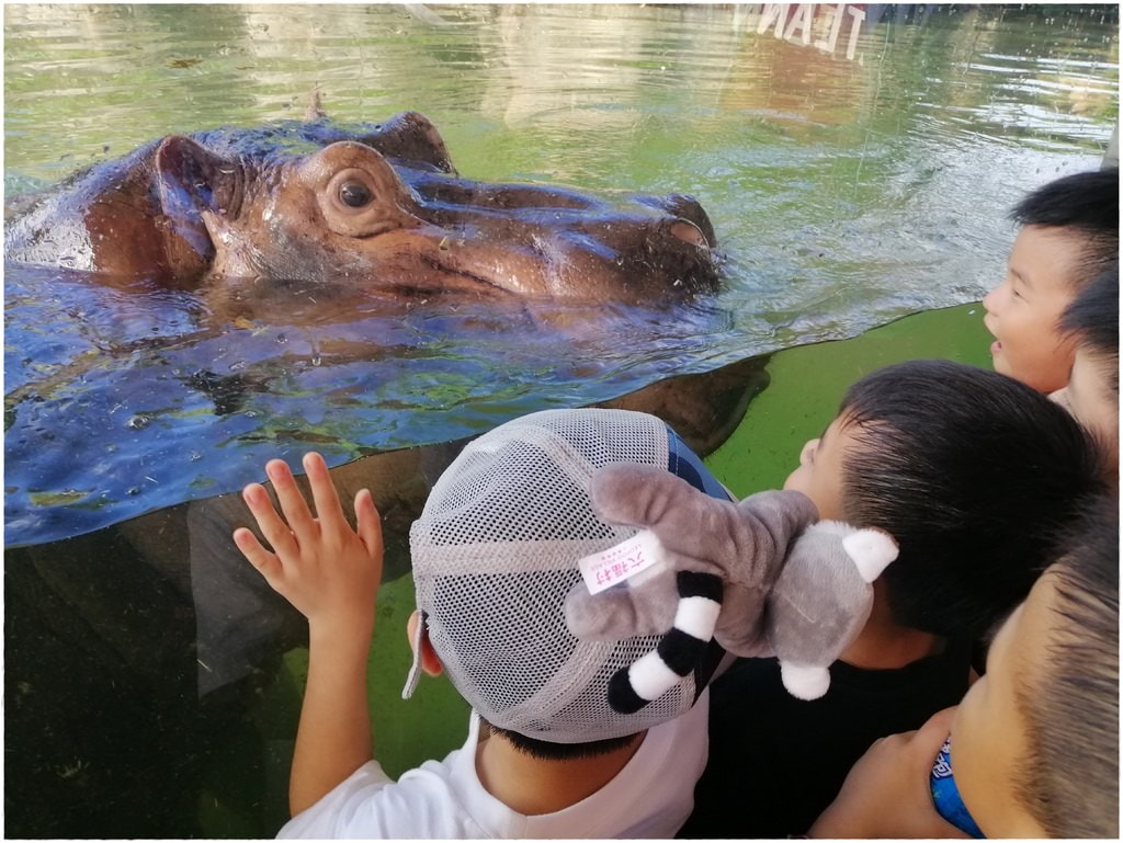 動物園-71.jpg
