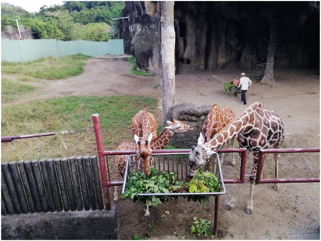 動物園-74.jpg