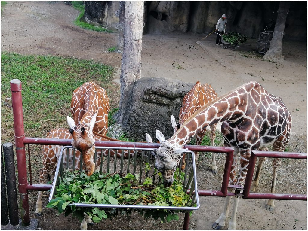 動物園-75.jpg
