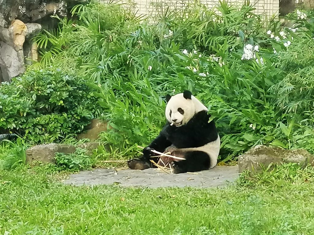 動物園-79.jpg