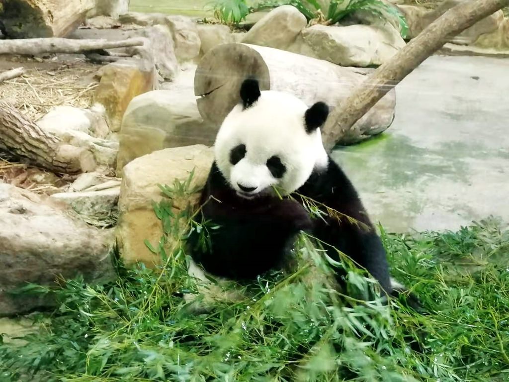 zoo-2.jpg