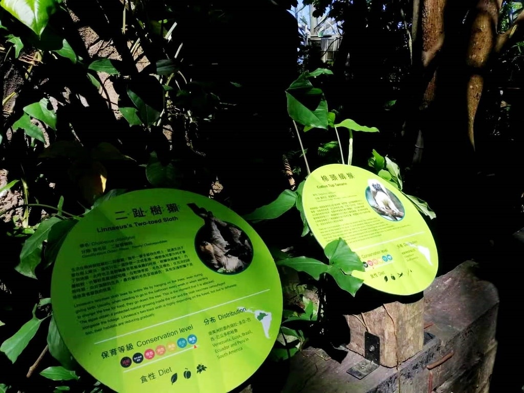 zoo-6.jpg