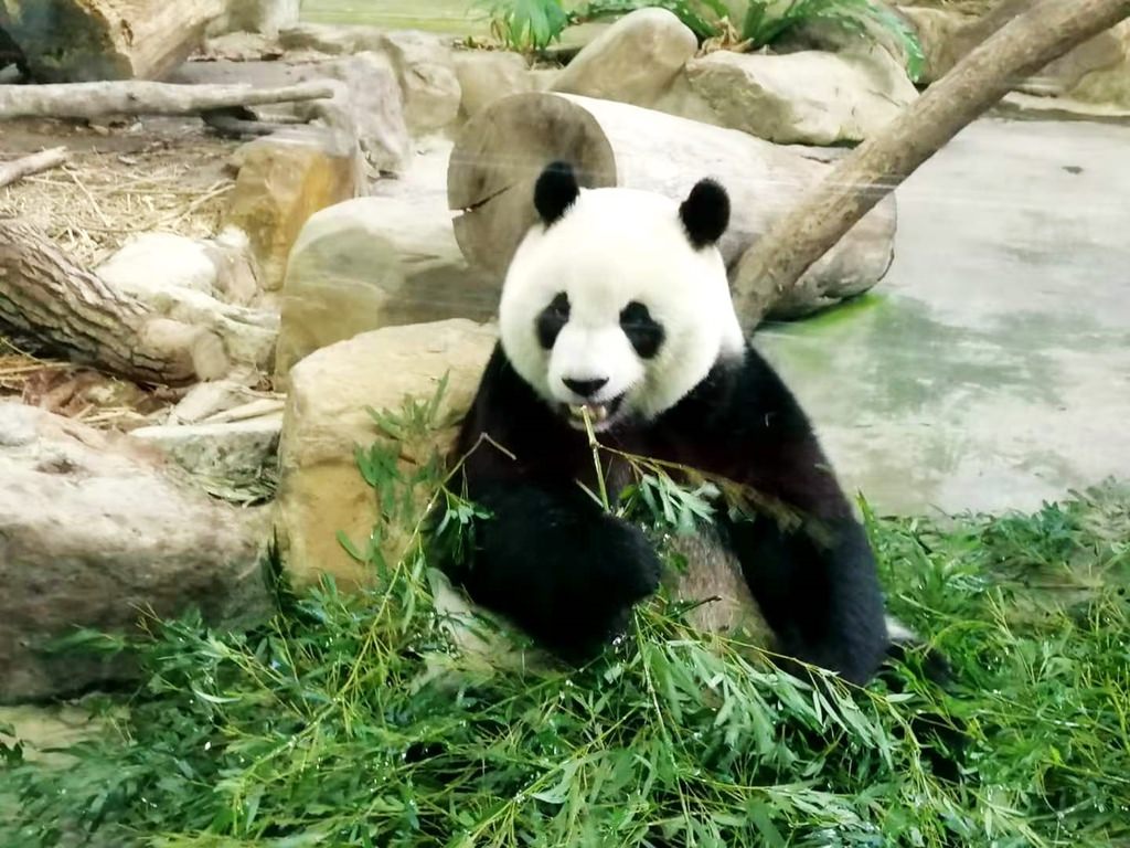 zoo-1.jpg