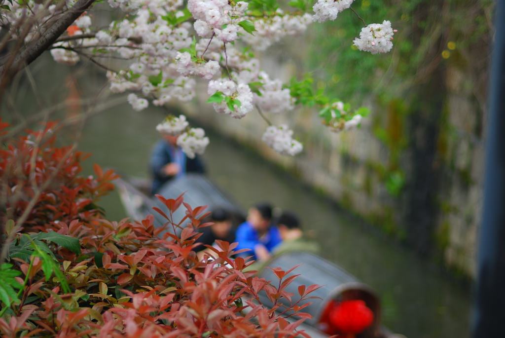 船-2.JPG