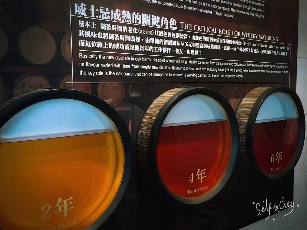 金車酒廠-6.jpg