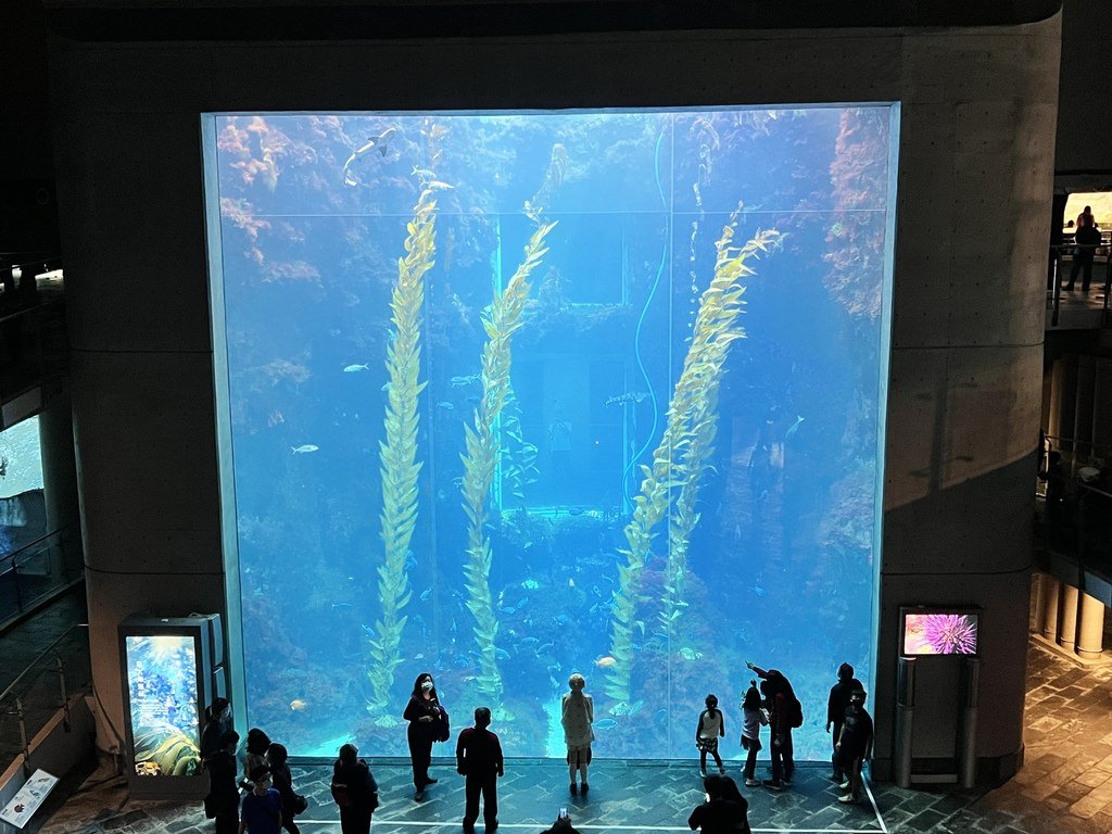 海生館-2-1.JPG