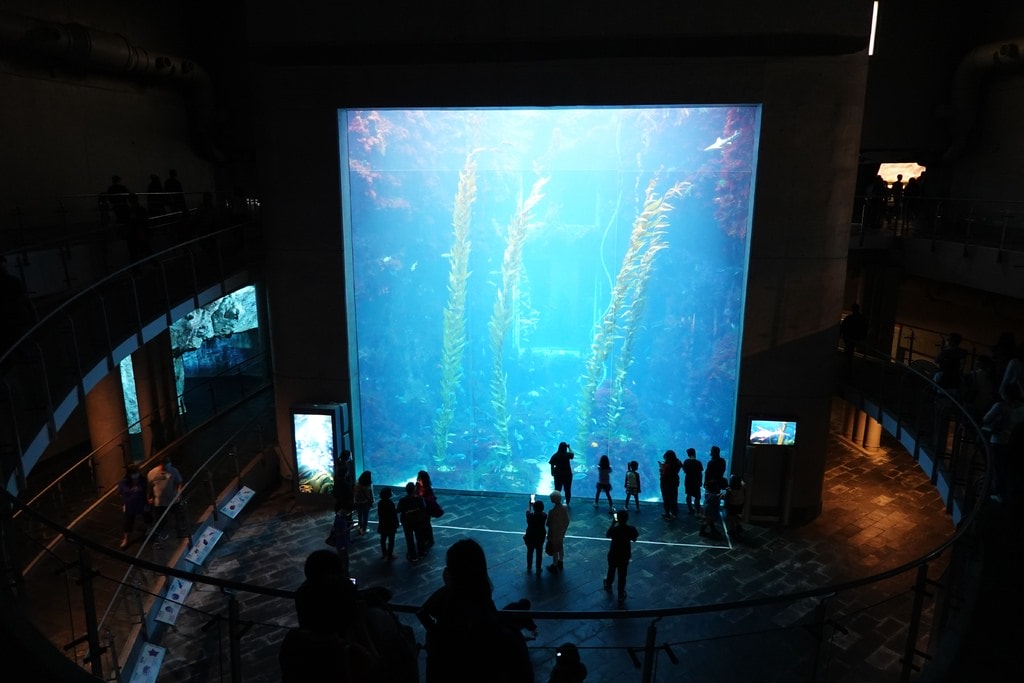 海生館-1.JPG