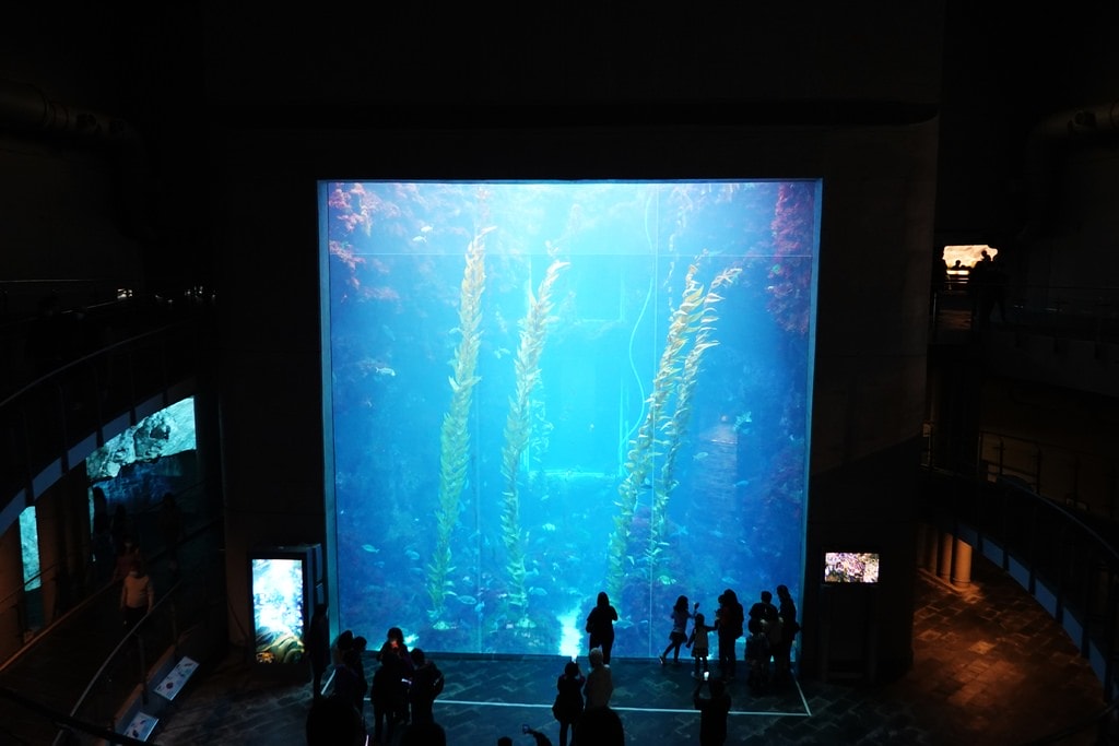 海生館-2.JPG