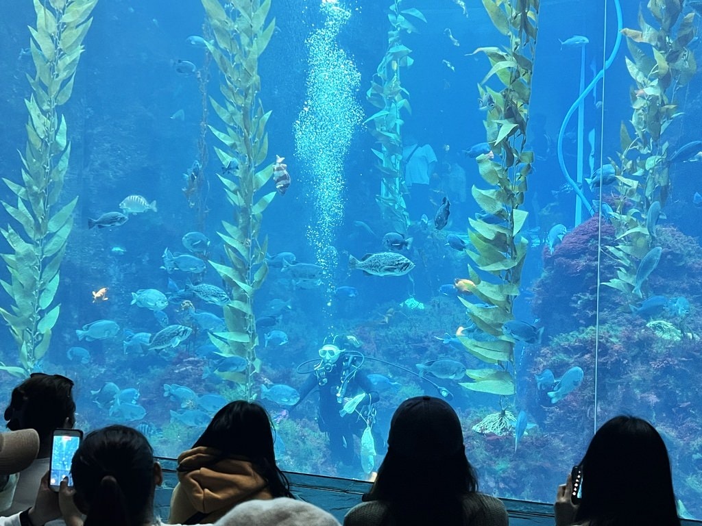 海生館-2-3.JPG