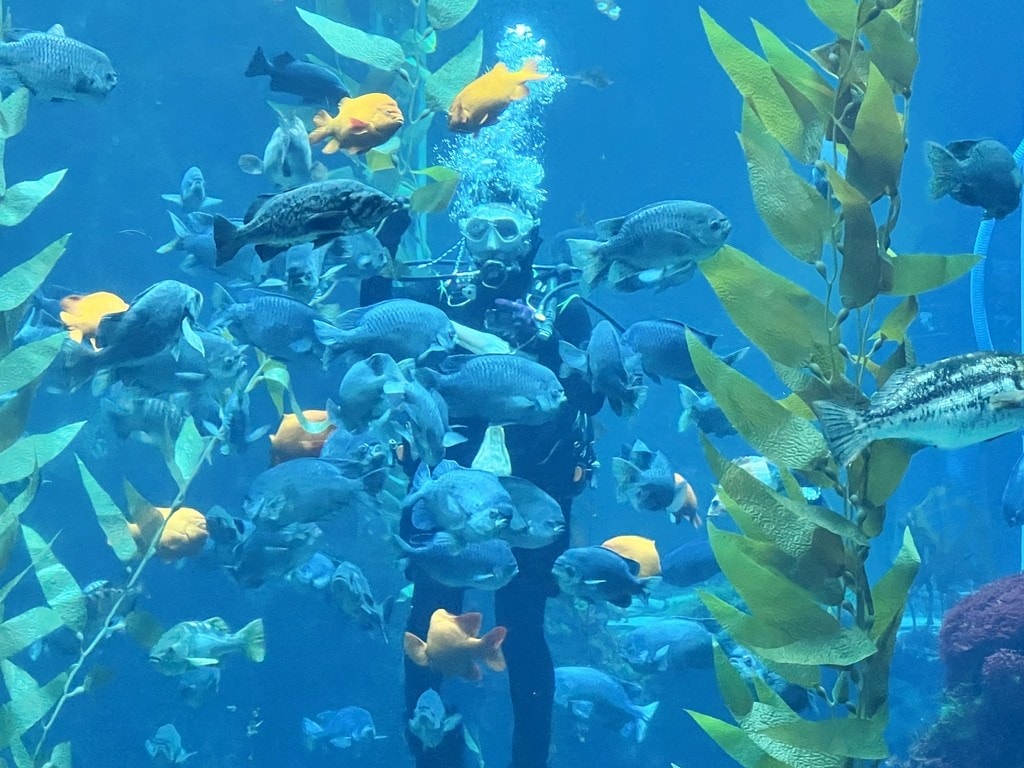 海生館-2-5.JPG
