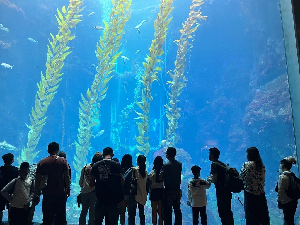 海生館-2-8.JPG