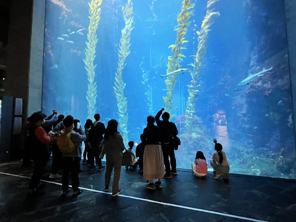 海生館-2-11.JPG