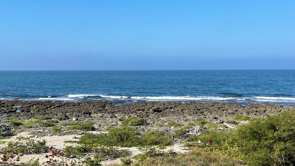 海生館-2-37.JPG