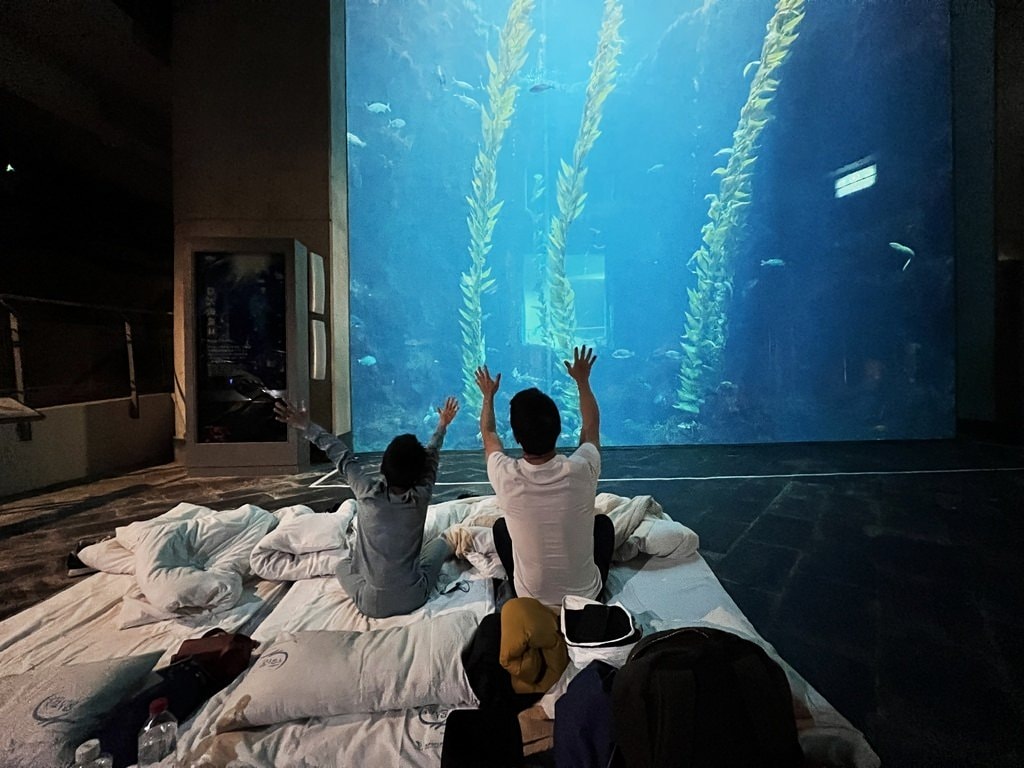 海生館-2-33.JPG