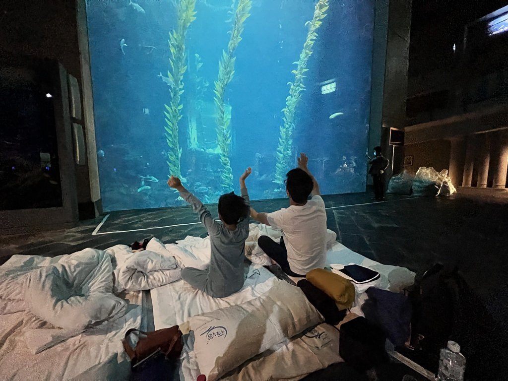 海生館-2-34.JPG