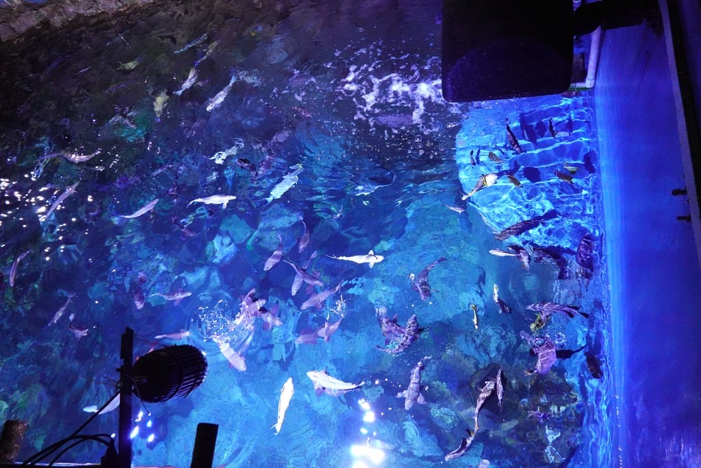 海生館夜宿介紹-14.JPG