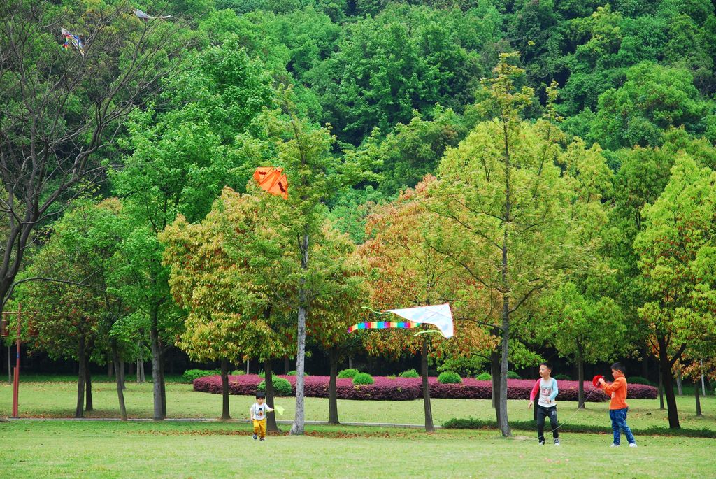 東吳-11.JPG