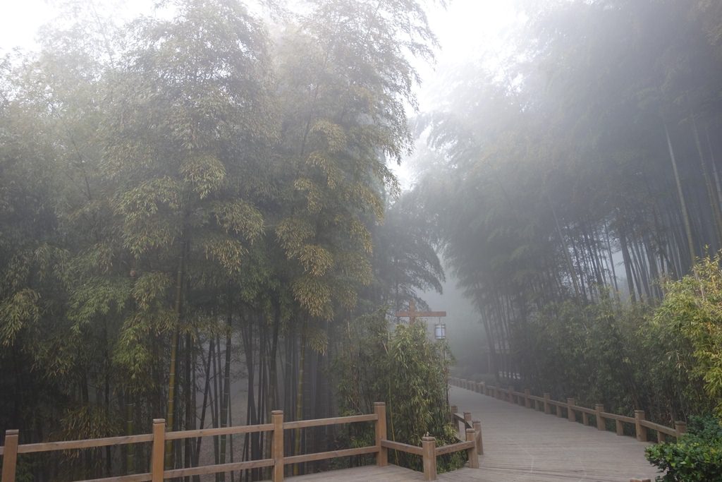 天目湖-119.JPG
