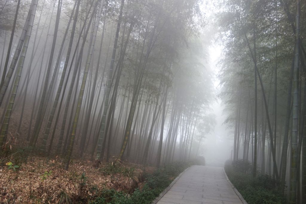 天目湖-125.JPG