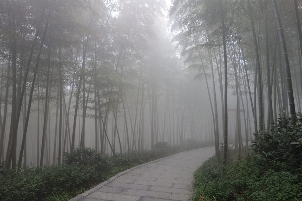 天目湖-126.JPG