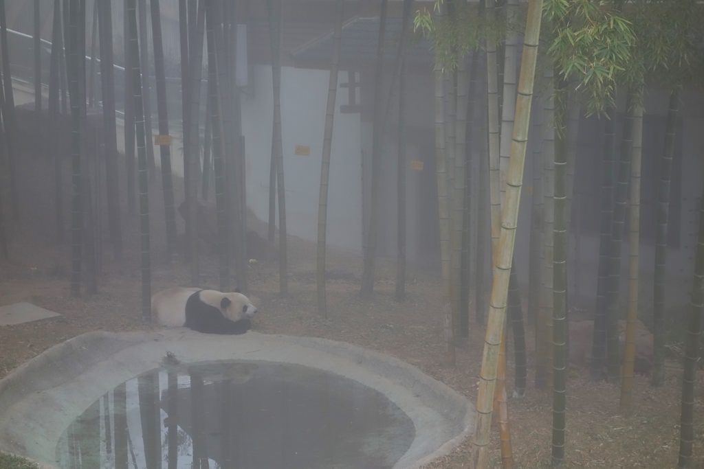 天目湖-129.JPG
