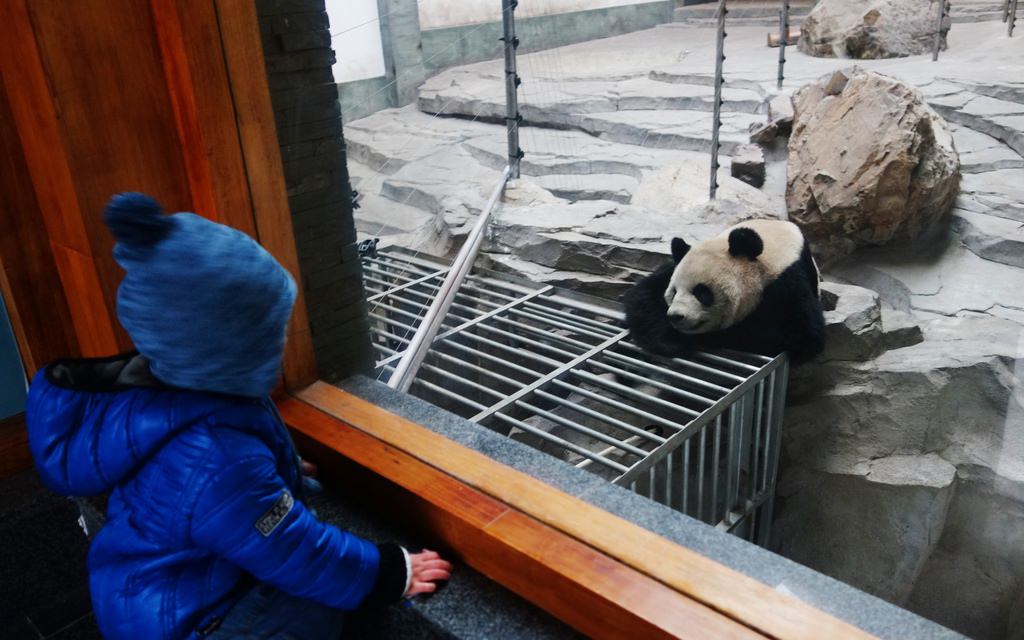 天目湖-127.JPG