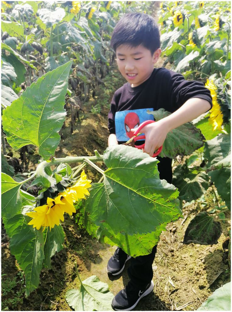向陽農場-15.jpg