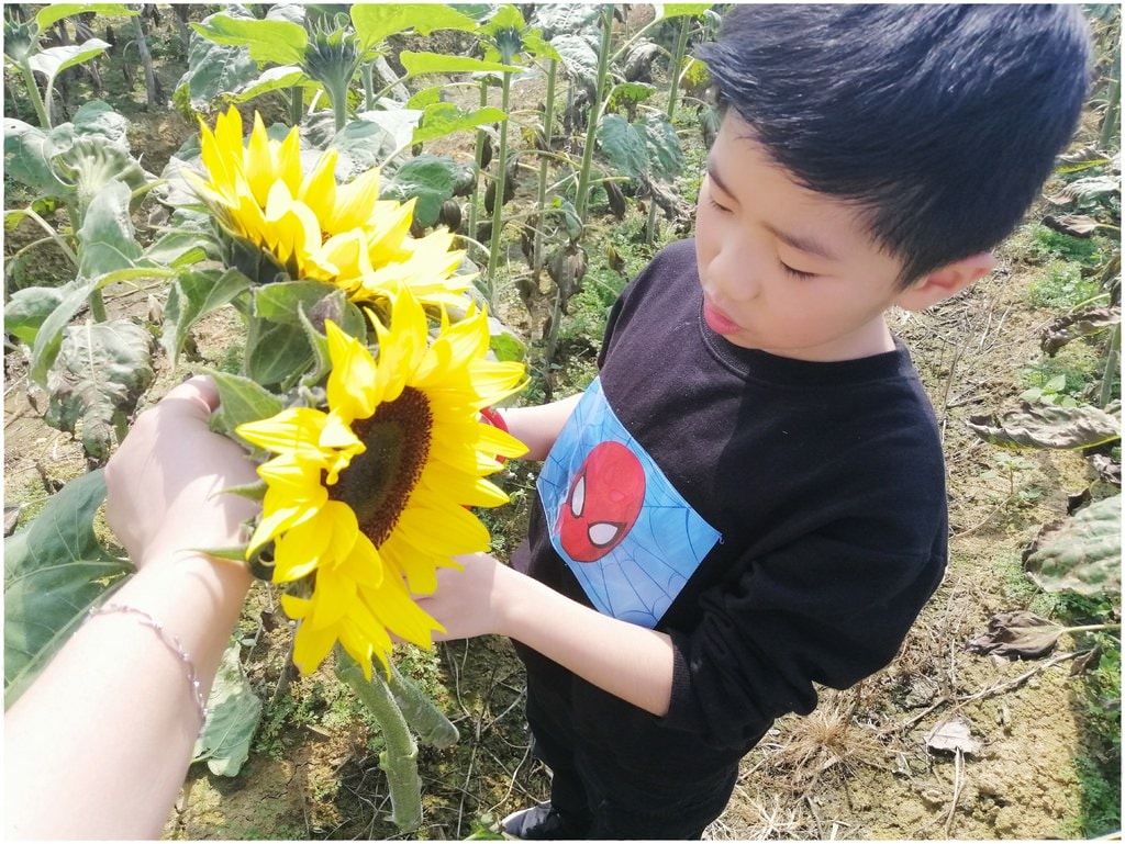 向陽農場-16.jpg