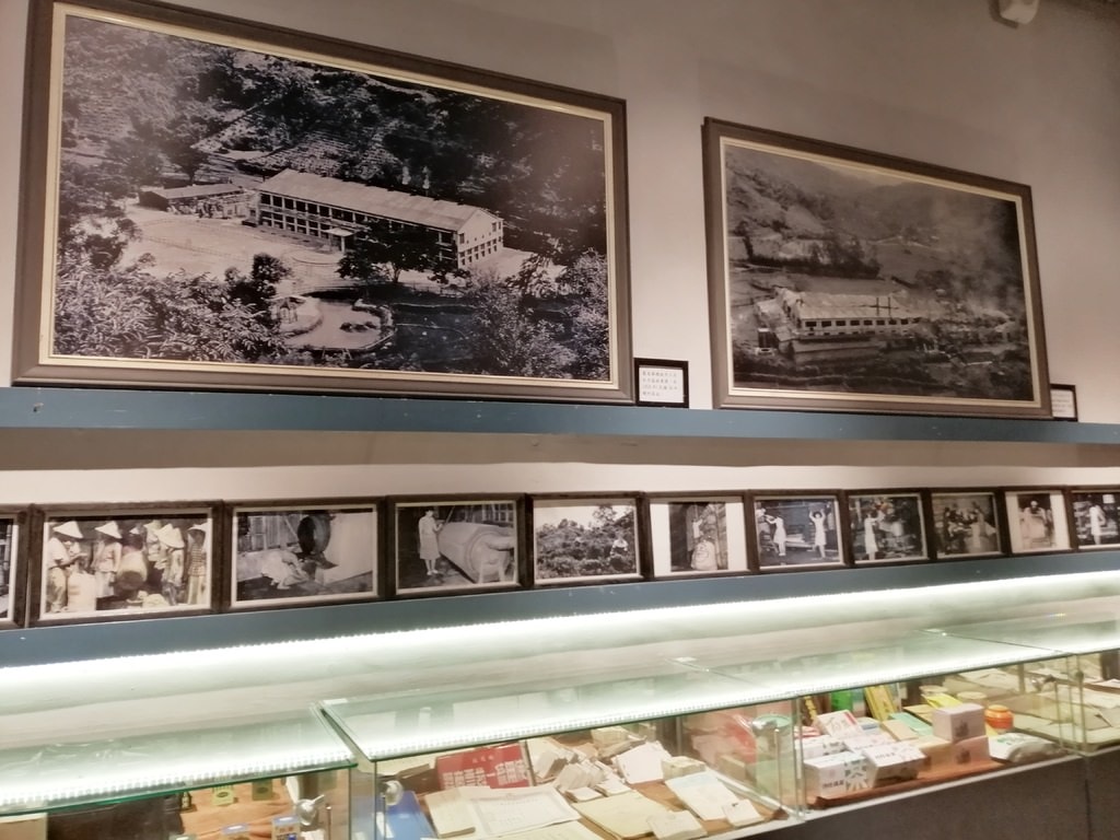 大溪老茶廠-37.jpg