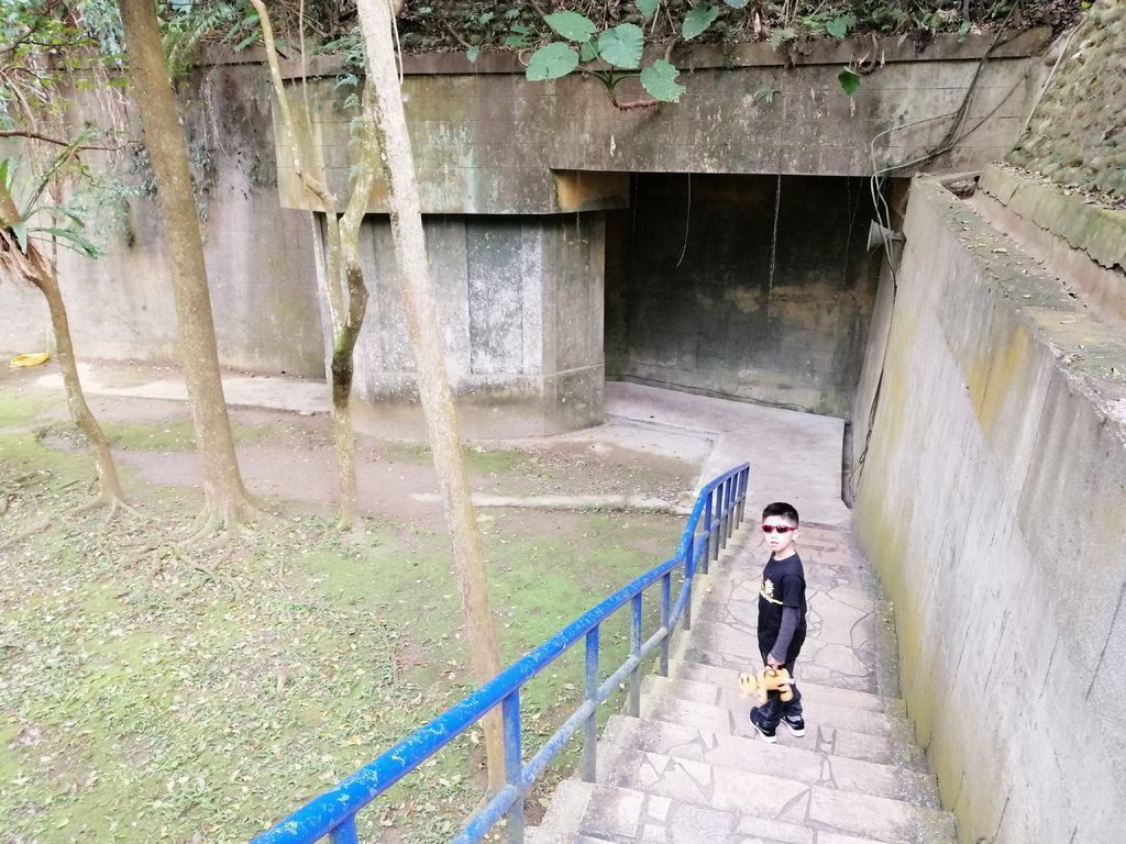 大溪老茶廠-53.jpg