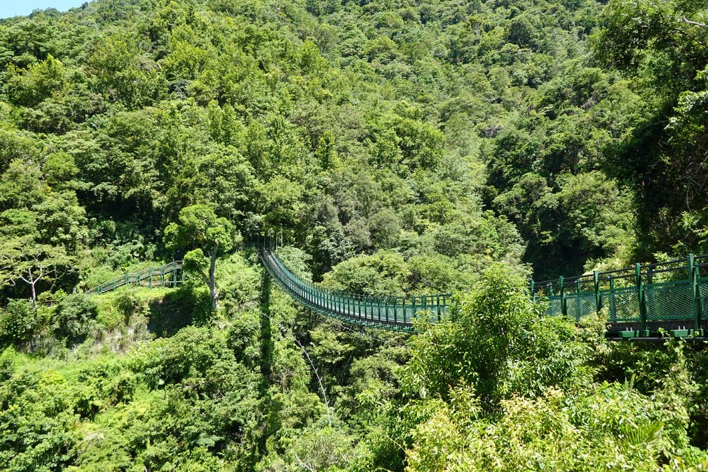 瓦拉米-39.JPG