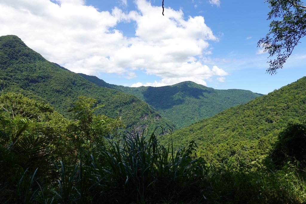 瓦拉米-50.JPG