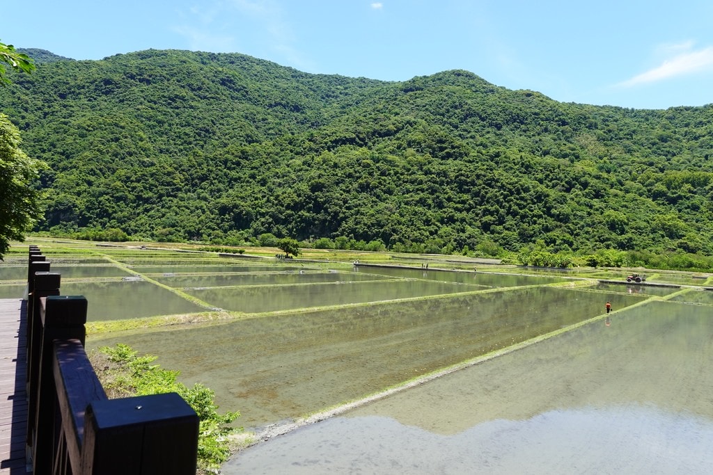 瓦拉米-89.JPG