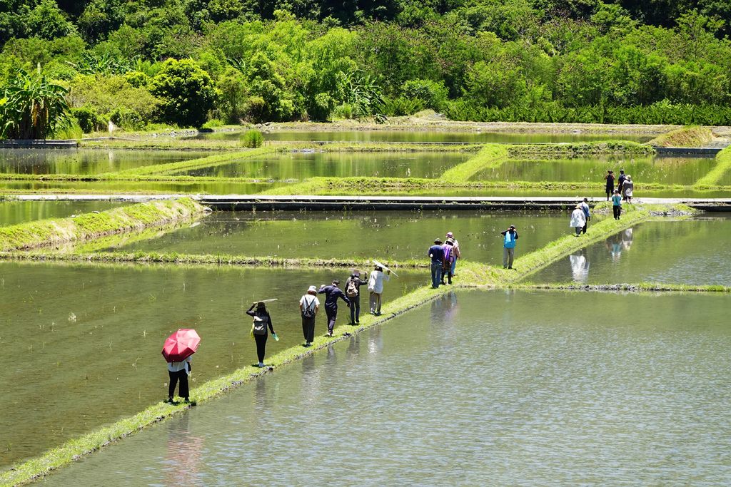 瓦拉米-7.JPG