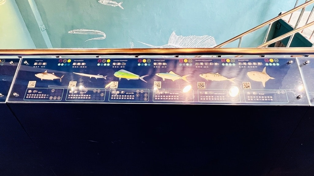 洄游-8.JPG