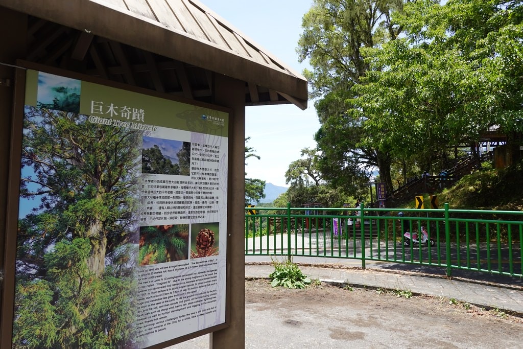 前往合歡山-16.JPG