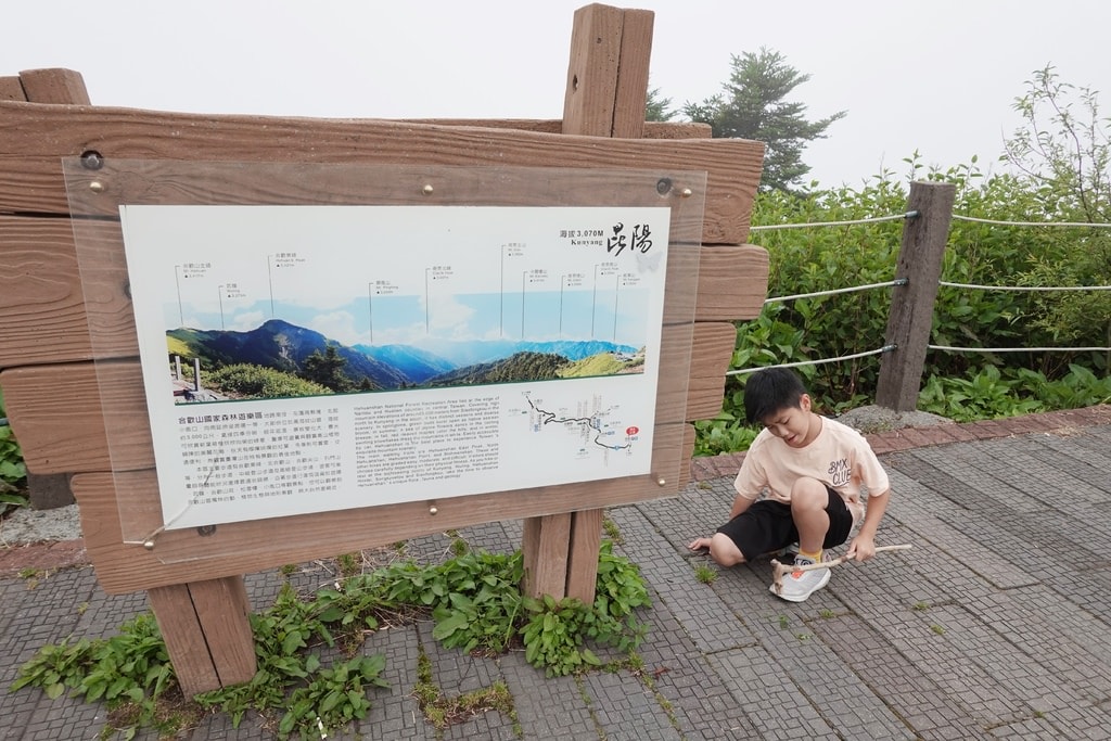 前往合歡山-72.JPG